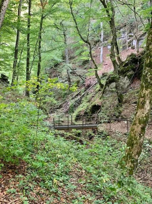 Ferienwohnung Albliebe Messstetten Εξωτερικό φωτογραφία