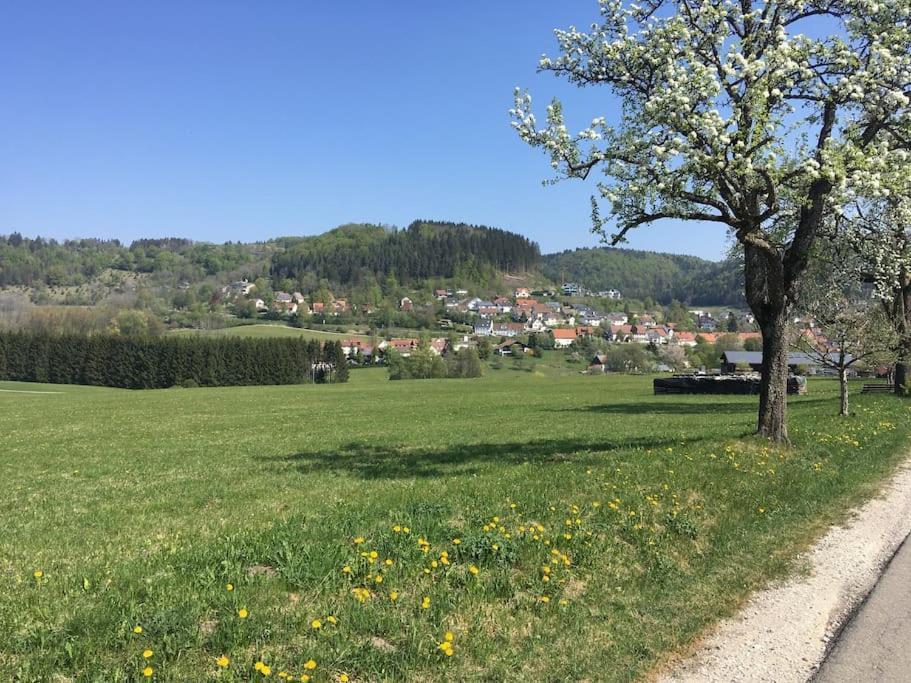 Ferienwohnung Albliebe Messstetten Εξωτερικό φωτογραφία